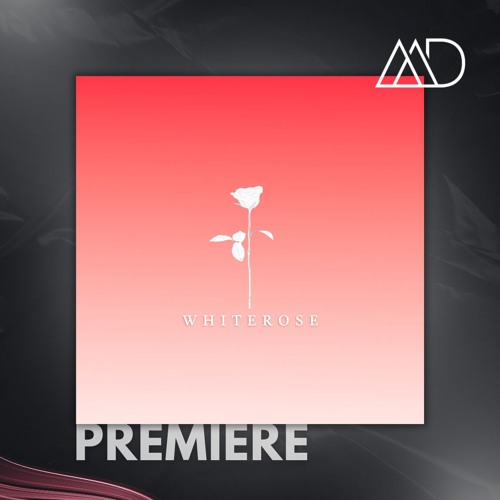PREMIERE: MATARA - Selecta (Original Mix) [White Rose Recordings]