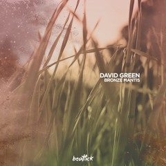 David Green - Bronze Mantis (Original Mix)