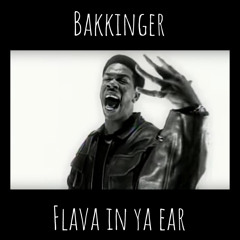 Craig Mack - Flava In Ya Ear (Bakkinger's Wonder Mashup)