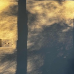 doors and windows