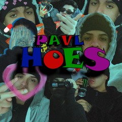 PAVL - HOES