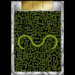 Swamp Realm