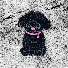 BLACKPINK Type beat 01