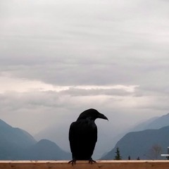 Read Between The Lines