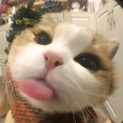 우리 또 보자 언젠간