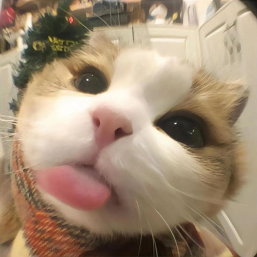 우리 또 보자 언젠간