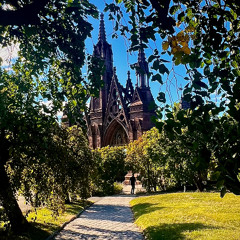 MENSTRUAL PHASES - MIX #2