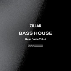 Bass House Mix 2024 - Dusk Radio Vol. 4 [Live Set]