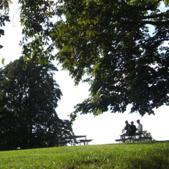 the summer ends (blurred + slowed + reverbed)