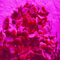 You Miss Her Don't You