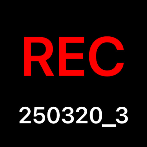 REC_20250320_3(1).wav