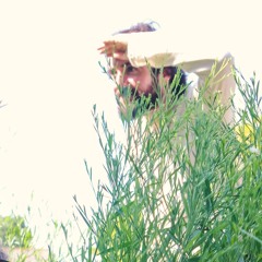 Through The Rushes - [Drum & Bass]