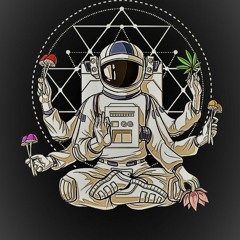Fly On Acid