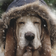 I don’t say too much unless it’s good enough