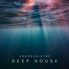 Deep house - Shed Sessions #deep house #house 2023