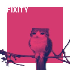 Fixity