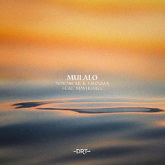 HMWL Premiere: Nitefreak & Choujaa - Mulalo (feat. Mavhungu) (Extended Mix) [Deeproot Tribe]