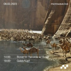 08.02.2023 Bonambi w/ Svaer