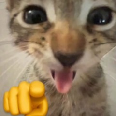 Terminal Riddim??