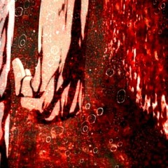 TRANSVERSETAPEVOL.2💢