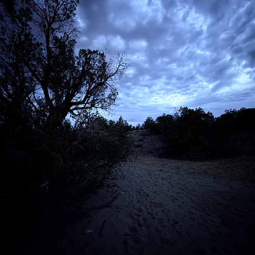 Back - Ruwinn (prod Chrxme)