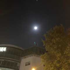 Full Moon Rider 2 (reprise)