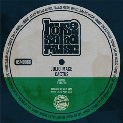 HSMD066 Julio Mace - It's Better [House Salad Music]