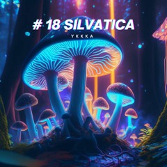 #18 silvatica