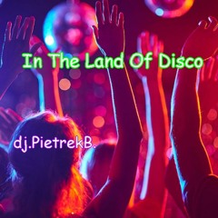 In The Land Of Disco