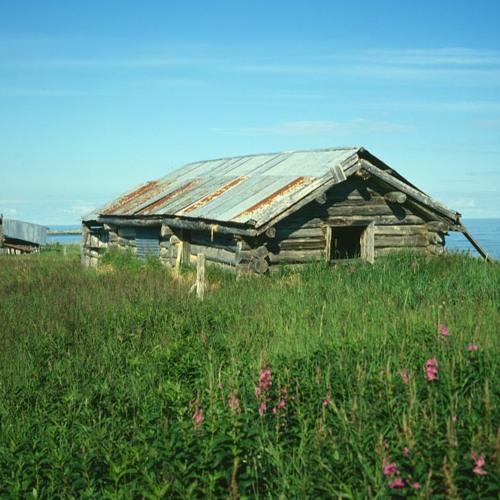 You Have Passage to My Last Shabby Corner, and There, Among the Debris, You’ve Found Life
