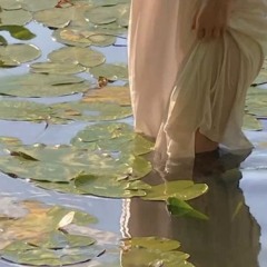 Lotus Garden