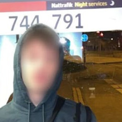 iPhone 6 (p. tiigrr)