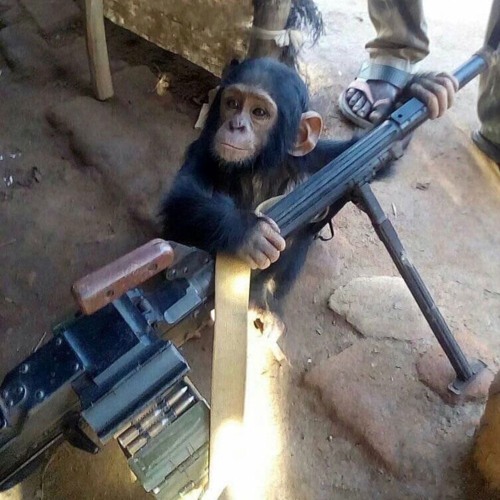 thr33 + aa2x! - ape tweakers (makkgin) [slump audios exclusive + paintingdemons + uaintnojugger]