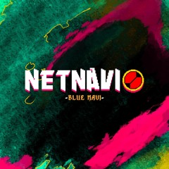NET NAVI