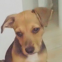 Rri Chu@Hohl 03:03:20