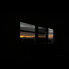 We found two dead swans (cover)