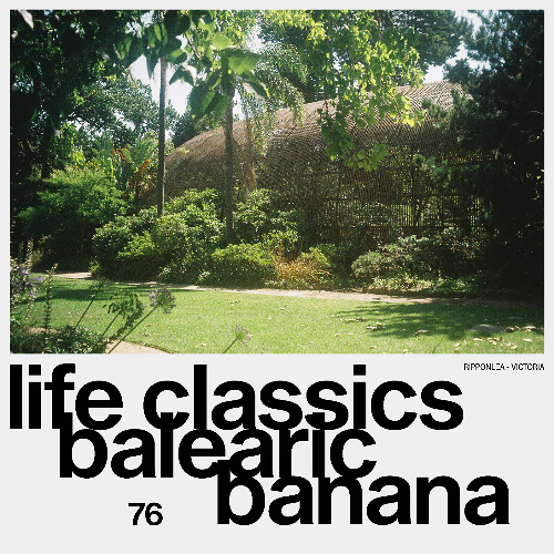 LIFE CLASSICS 76 BALEARIC BANANA