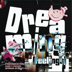 DREAMING (FEELING) SPRING STREET FLIP