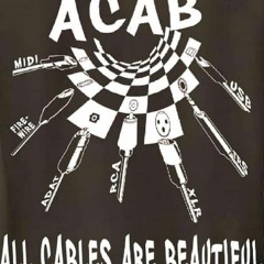 ACID [1]