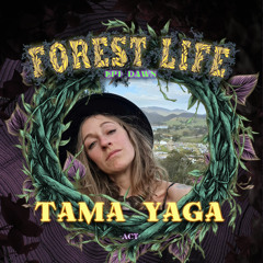 FOREST LIFE FESTIVAL (NSW) II 9AM - 10.30AM 22/06/2025 II 1.5 HR BASS SET