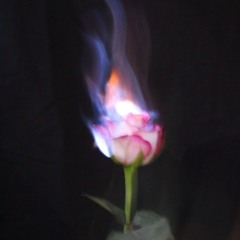 Talangor - Melodic Techno (Kiyan x Kia)