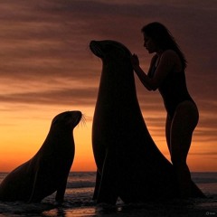 Un phoque (a seal, Zouk 86bpm)