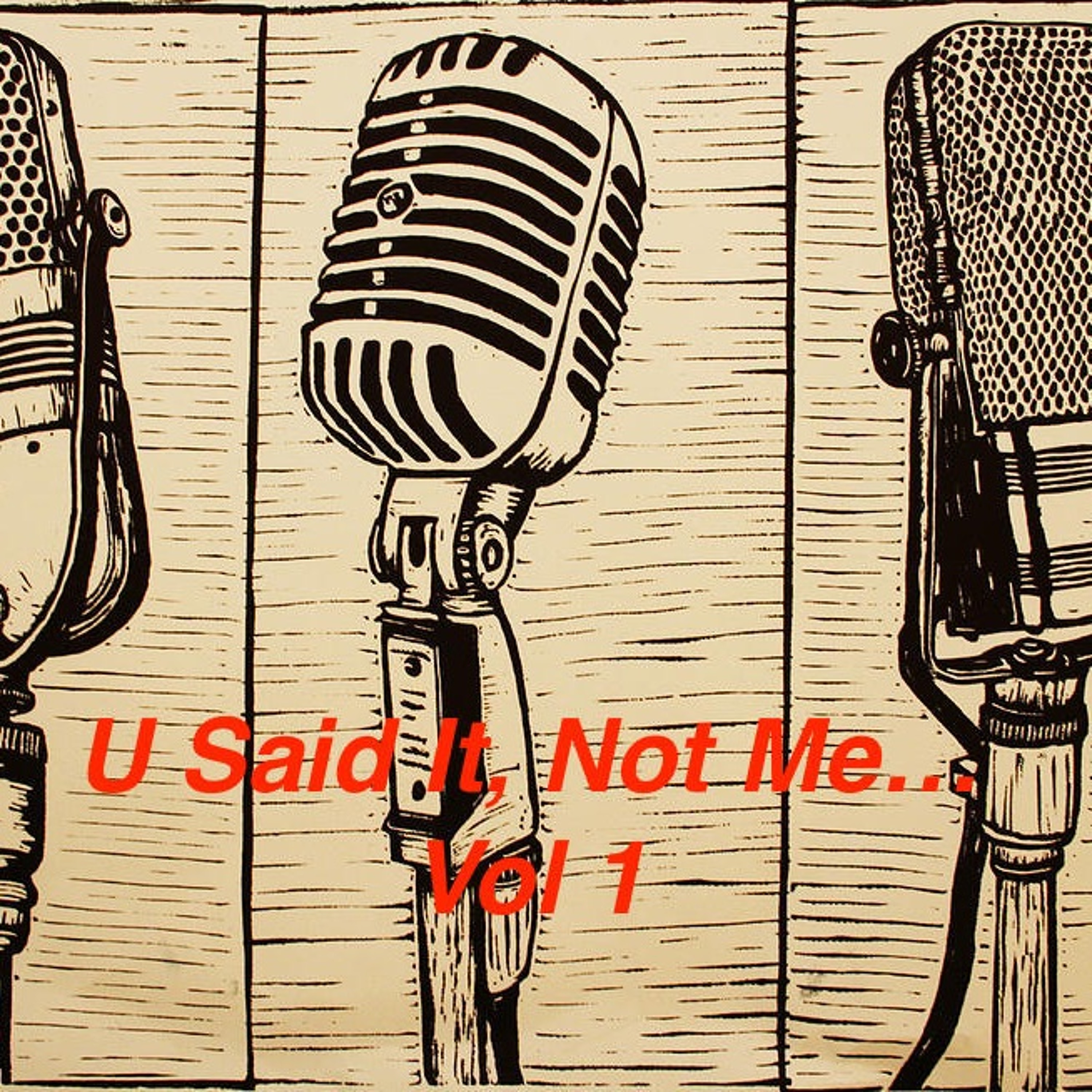 U Said It, Not Me
