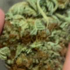 Blue berry