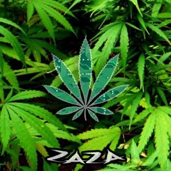 ZAZA - CYBER HAZE [FREE DL]