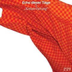 Echo dieser Tage: Teil I "Konservierung"