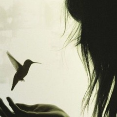 Trentstrr - birds (birdbusiness)