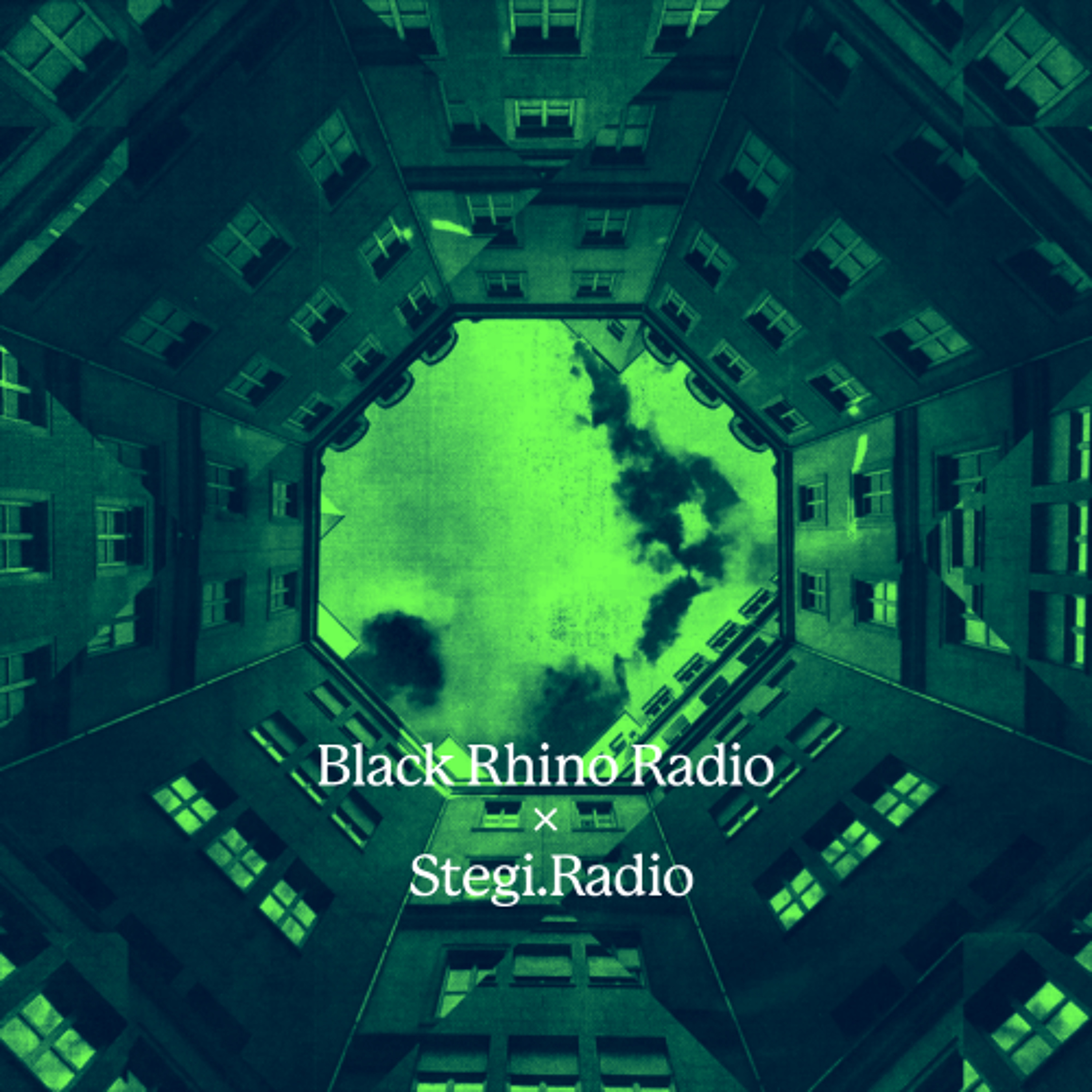 Black Rhino x Stegi: Radio Exchange w/ Common Alex (24.05.2026) episode artwork