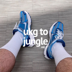 ukg to jungle vol.1