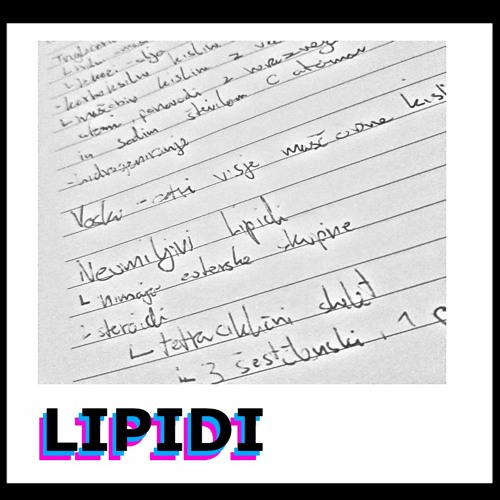 Lipidi